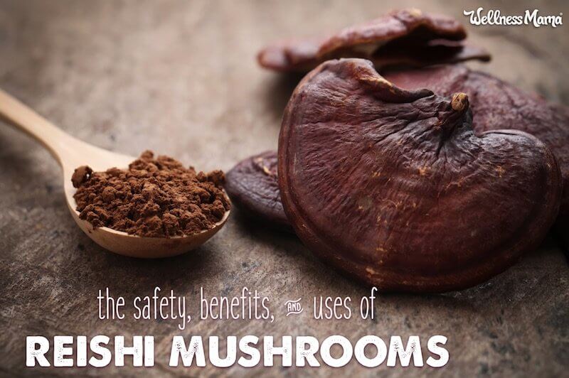 Mushroom Beta GLUCANS