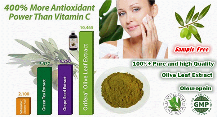 OLive leaf extract cosmetics
