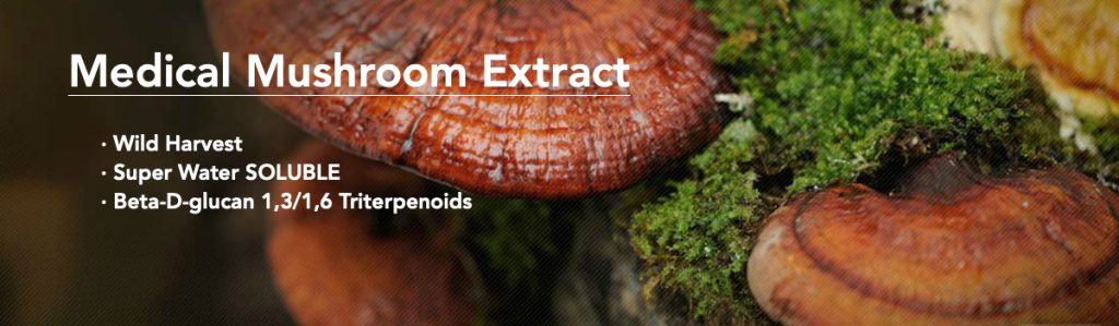 mushroom polysaccharides