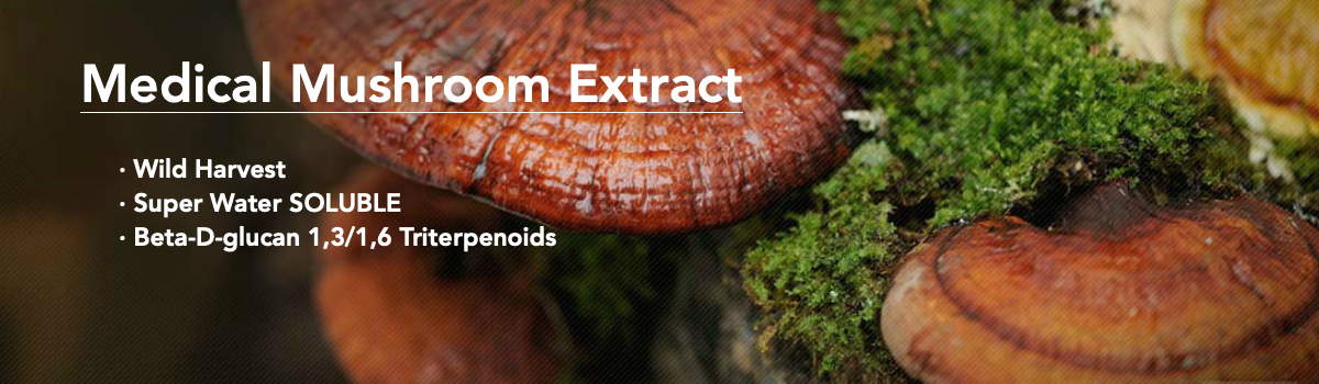 Mushroom FOR Health Life