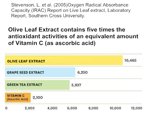 Olive leaf extract antioxidant