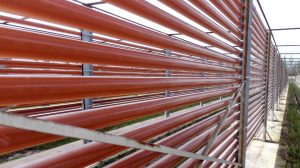 Stage 3 Astaxanthin_RDHealthIngredients