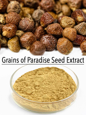 Grains of Paradise Seed Extract RDHealthIngredients Aframomum Melegeuta Extract