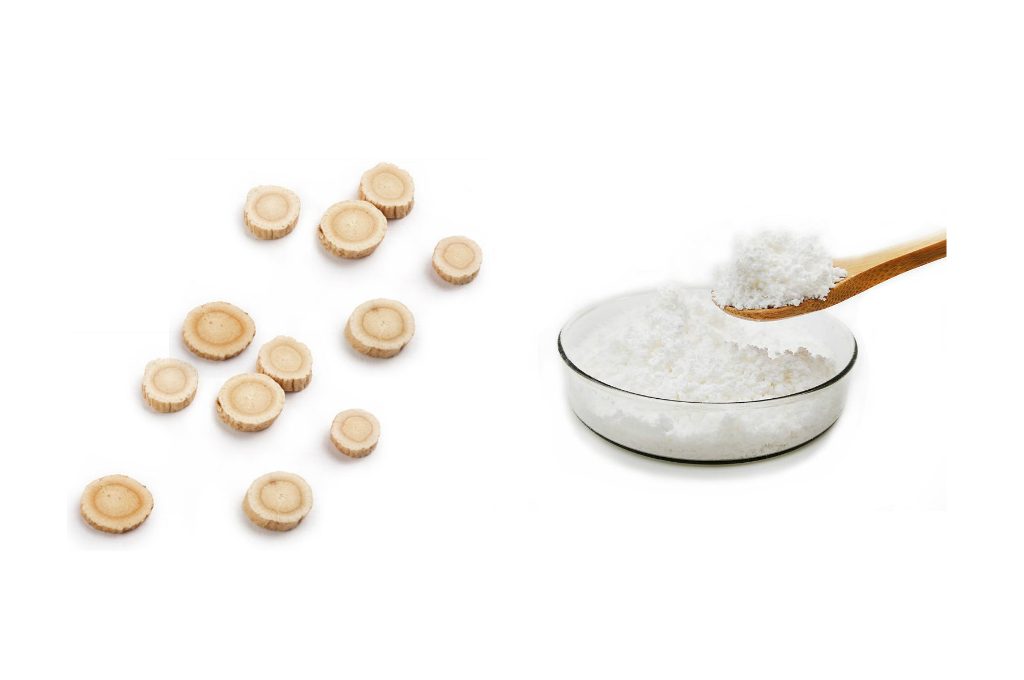 Astragalus Cycloastragenol and TA-65: Deciphering the Telomerase Activation Duo