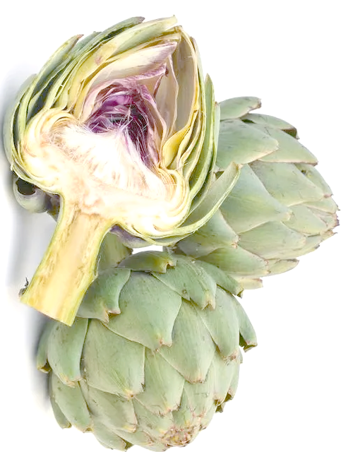 Artichoke Leaf Extract For liver support