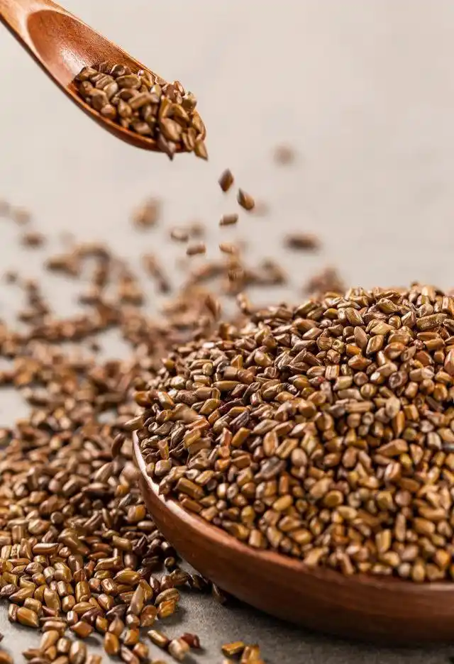 Cassia Seed Extract For liver support