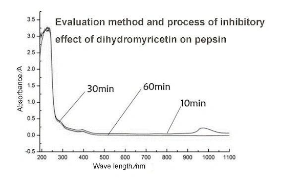 vine tea extract dihydromyricetin inhibitory effect