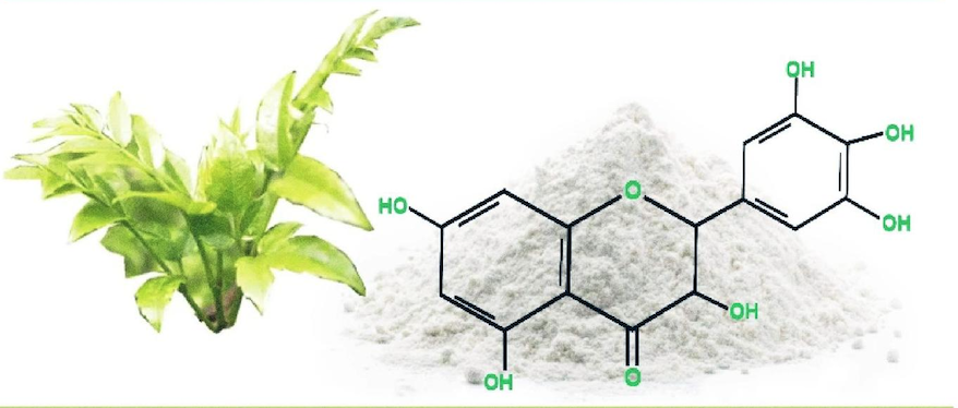 vine tea extract for hangover alcohol relieve