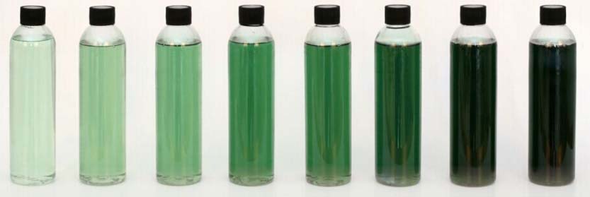 Sodium Copper Chlorophyllin you can dilute into the green color you need