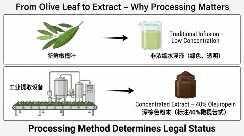 olive leaf extract novel food RDHealthIngredients