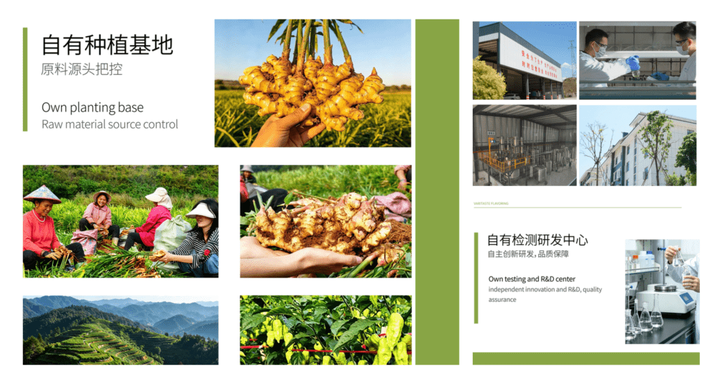 co2 ginger oleoresin RDHealthIngredients